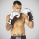 White 8 Weapons Hit Boxing Gloves White 8 Weapons Hit Boxing Gloves
