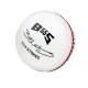 Gunn & Moore BS55 Skills Cricket Ball KS 1522 Gunn & Moore BS55 Skills Cricket Ball KS 1522