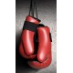 Red Boxing Gym High Quality KS 4147 Red Boxing Gym High Quality KS 4147