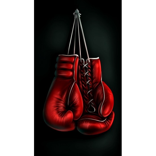 Red Boxing Gym High Quality KS 4147 Red Boxing Gym High Quality KS 4147