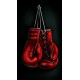 Red Boxing Gym High Quality KS 4147 Red Boxing Gym High Quality KS 4147