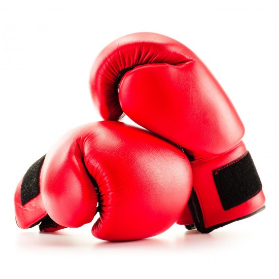 Red Warrior Boxing Gloves KS 4173 Red Warrior Boxing Gloves KS 4173