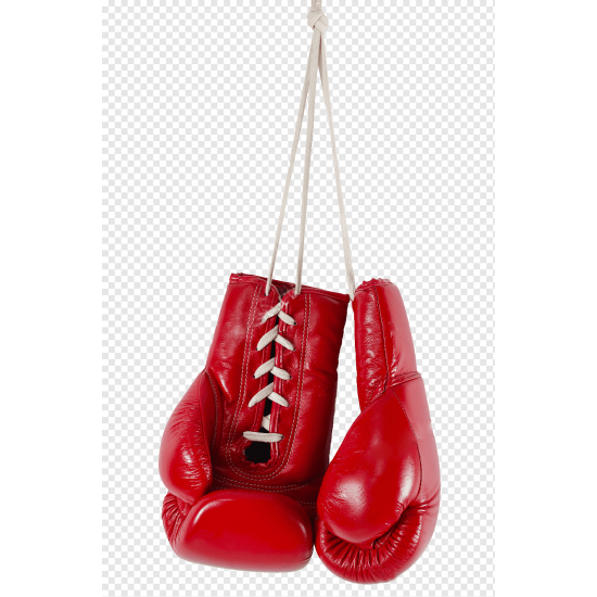 Red and White Premium Boxing Gloves Red and White Premium Boxing Gloves