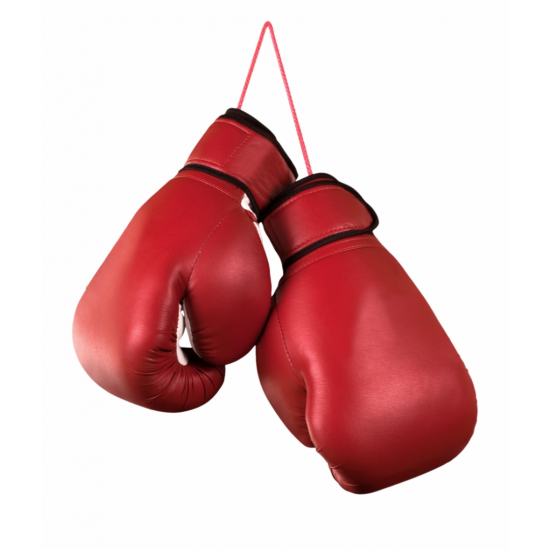Red Latest Boxing Gloves Red Latest Boxing Gloves