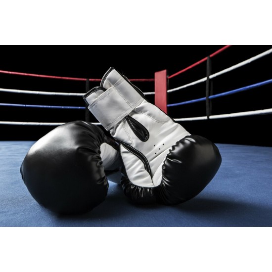 White and Black Sparring Gloves White and Black Sparring Gloves