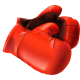 Sparring Gloves Sparring Gloves