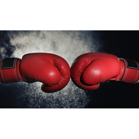 Sparring Gloves Sparring Gloves