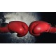Sparring Gloves Sparring Gloves
