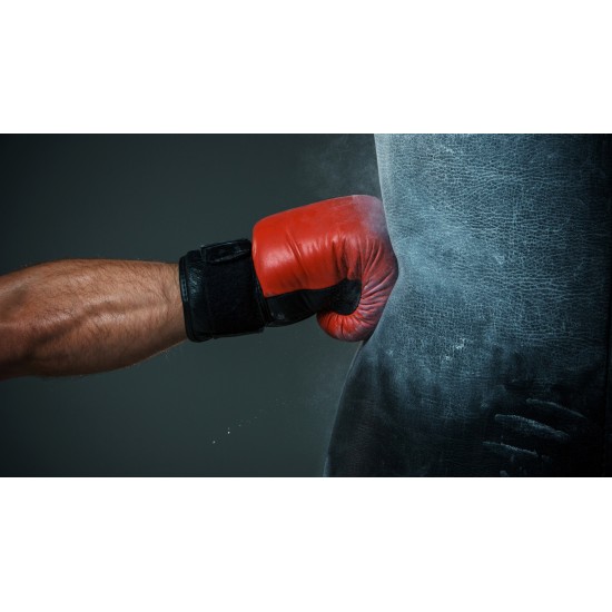 Power Strike Traning Gloves Power Strike Traning Gloves