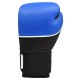 Extreme Fitness Bag Gloves Extreme Fitness Bag Gloves