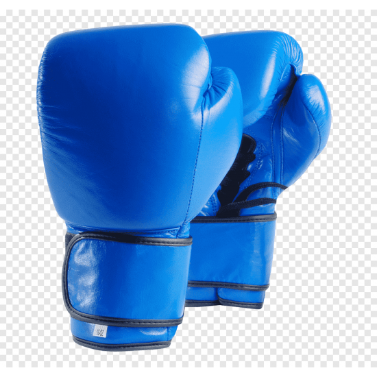 Blue Shine Boxing Gloves Blue Shine Boxing Gloves
