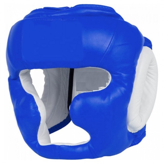 Blue And White Head Guard Blue And White Head Guard