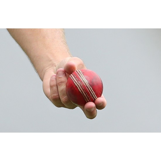 Red Cricket HardBall Red Cricket HardBall