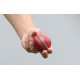 Red Cricket HardBall Red Cricket HardBall