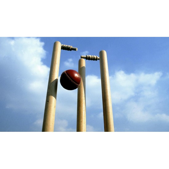 Red Cricket HardBall Red Cricket HardBall