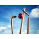 Red Cricket Best Quality HardBall KS 4483 Red Cricket Best Quality HardBall KS 4483