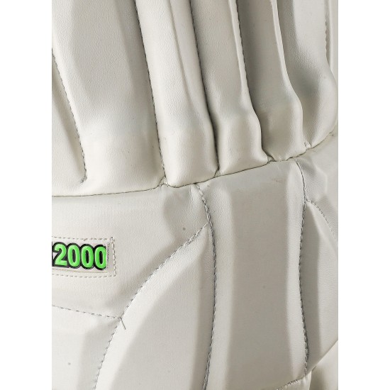CA PLUS 12000 or 12k Cricket Batting Pads CA PLUS 12000 or 12k Cricket Batting Pads