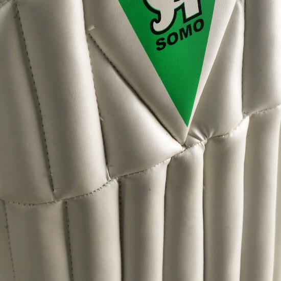 CA SOMO Wicket Keeping Pads CA SOMO Wicket Keeping Pads