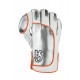 CA PLUS 20K Wicket Keeping Gloves CA PLUS 20K Wicket Keeping Gloves