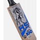 HS SPARK 100 ENGLISH WILLOW BATS HS SPARK 100 ENGLISH WILLOW BATS
