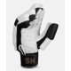 HS T20 BATTING GLOVES HS T20 BATTING GLOVES