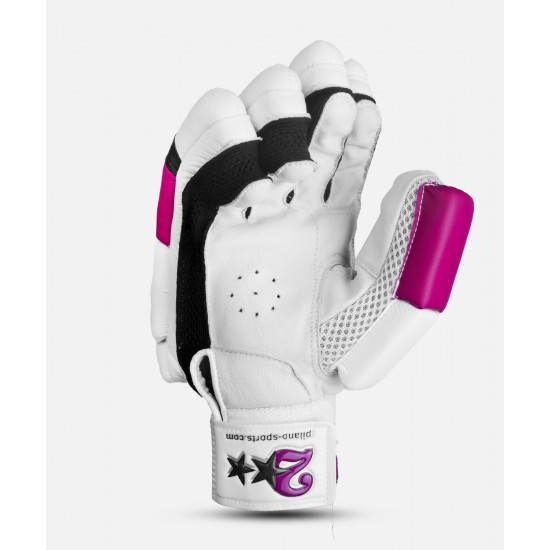 HS 2 STAR BATTING GLOVES HS 2 STAR BATTING GLOVES