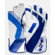HS 3 STAR WICKET KEEPING GLOVES HS 3 STAR WICKET KEEPING GLOVES