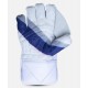 HS Y 10K WICKET KEEPING GLOVES HS Y 10K WICKET KEEPING GLOVES