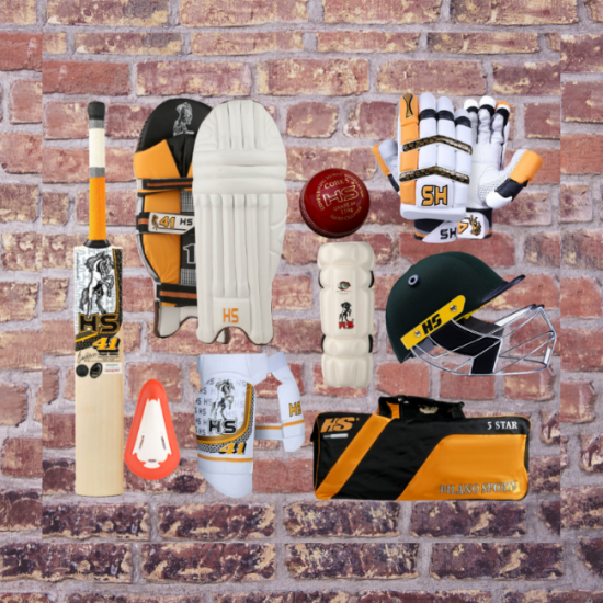 HS 41 Professional Cricket Kit HS 41 Professional Cricket Kit