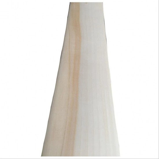 Custom Made English Willow Cricket Bat Grade A Plus T38 Custom Made English Willow Cricket Bat Grade A Plus T38