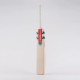 Gray-Nicolls Alpha Gen 1.1 5 Star Lite Junior Cricket Bat Gray-Nicolls Alpha Gen 1.1 5 Star Lite Junior Cricket Bat
