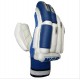 BDM Sachin Special Batting Gloves White and Blue BDM Sachin Special Batting Gloves White and Blue