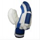 BDM Sachin Special Batting Gloves White and Blue BDM Sachin Special Batting Gloves White and Blue