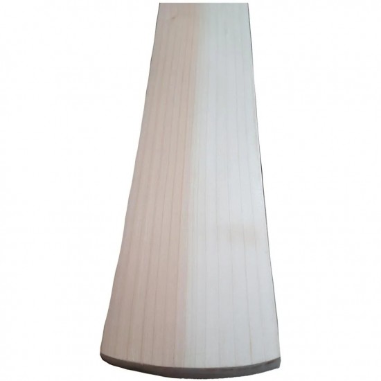 Custom Made Cricket Bat English Willow Grade A Plus T17 Custom Made Cricket Bat English Willow Grade A Plus T17