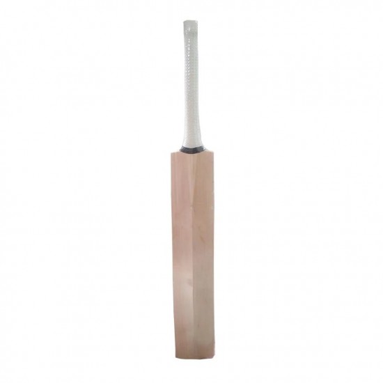 Custom Made Cricket Bat English Willow Grade A Plus T19 Custom Made Cricket Bat English Willow Grade A Plus T19