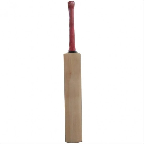 Custom Made Cricket Bat English Willow Grade A Plus T29 Custom Made Cricket Bat English Willow Grade A Plus T29