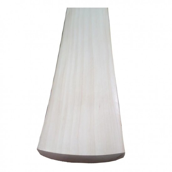 Custom Made Cricket Bat English Willow Grade A Plus T16 Custom Made Cricket Bat English Willow Grade A Plus T16