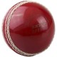 Kookaburra Super Coach Big Bouncer Cricket Ball Kookaburra Super Coach Big Bouncer Cricket Ball