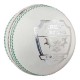Gray-Nicolls Crest Legend Cricket Ball Gray-Nicolls Crest Legend Cricket Ball