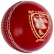 Crest Elite Cricket Ball Crest Elite Cricket Ball