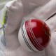 Crest Special Cricket Ball Crest Special Cricket Ball