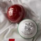 Crown 3 Star Cricket Ball Crown 3 Star Cricket Ball