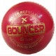 Red Cricket HardBall KS 1481 Red Cricket HardBall KS 1481