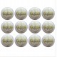 Test White Cricket HardBall (Set of 12) Test White Cricket HardBall (Set of 12)
