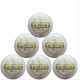 Test White Cricket Ball (Set of 6) Test White Cricket Ball (Set of 6)