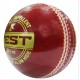 Test Leather Cricket Ball Set of 3 Test Leather Cricket Ball Set of 3