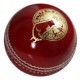 Bull Test Cricket Ball Bull Test Cricket Ball