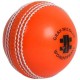 Gray-Nicolls Wonderball Gray-Nicolls Wonderball