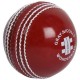 Gray-Nicolls Wonderball Gray-Nicolls Wonderball