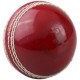 Kookaburra Super Coach Super Softball Kookaburra Super Coach Super Softball
